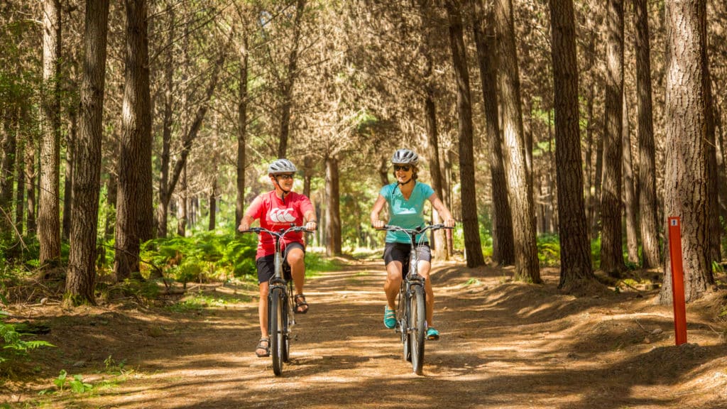 cycling in the Nelson region