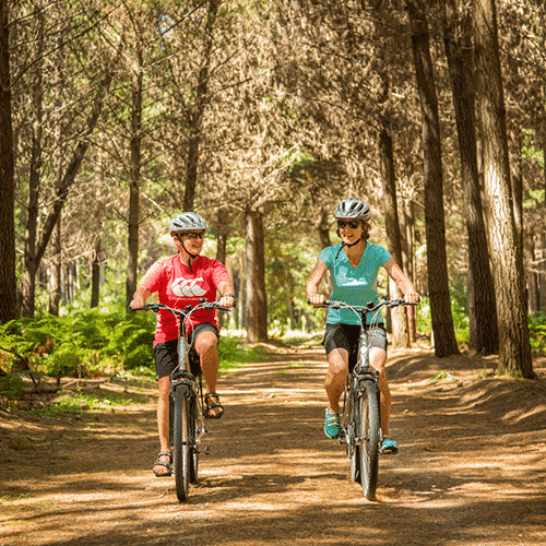 cycling on Rabbit Island