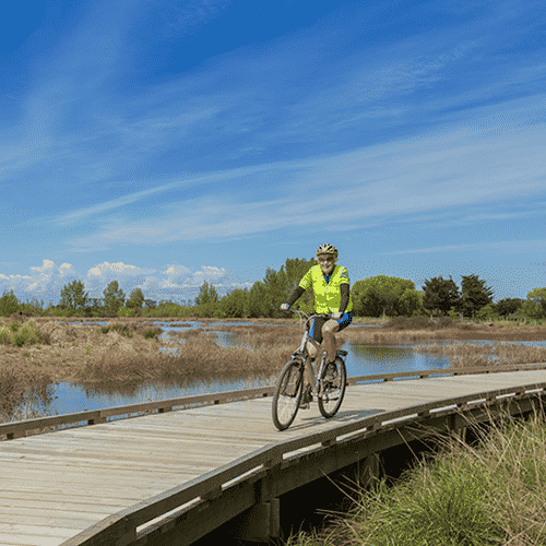 Great Taste Trail near Motueka